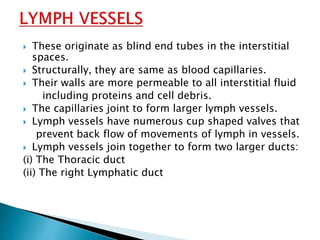  These originate as blind end tubes in the interstitial
spaces.
 Structurally, they are same as blood capillaries.
 Their walls are more permeable to all interstitial fluid
including proteins and cell debris.
 The capillaries joint to form larger lymph vessels.
 Lymph vessels have numerous cup shaped valves that
prevent back flow of movements of lymph in vessels.
 Lymph vessels join together to form two larger ducts:
(i) The Thoracic duct
(ii) The right Lymphatic duct
 