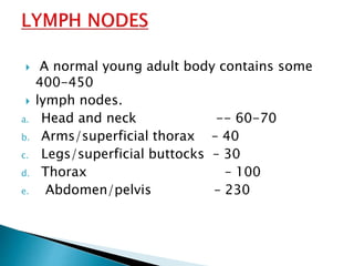  A normal young adult body contains some
400-450
 lymph nodes.
a. Head and neck -- 60-70
b. Arms/superficial thorax – 40
c. Legs/superficial buttocks – 30
d. Thorax – 100
e. Abdomen/pelvis – 230
 