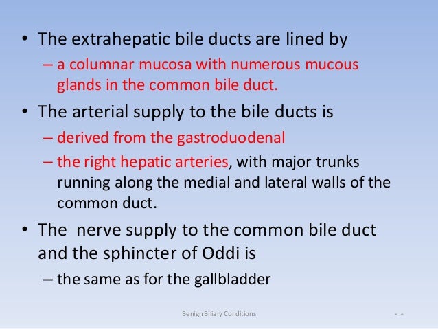 Anatomy and physiology of biliary tree