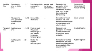 Anatomy and physiology of brain | PPTX