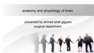 anatomy and physiology of brain and its parts | PPTX