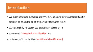 Anatomy and physiology of brain ppt, its organization | PPTX