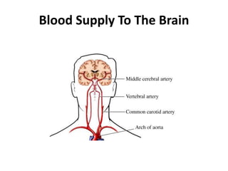 Anatomy and physiology of central nervous system | PPTX