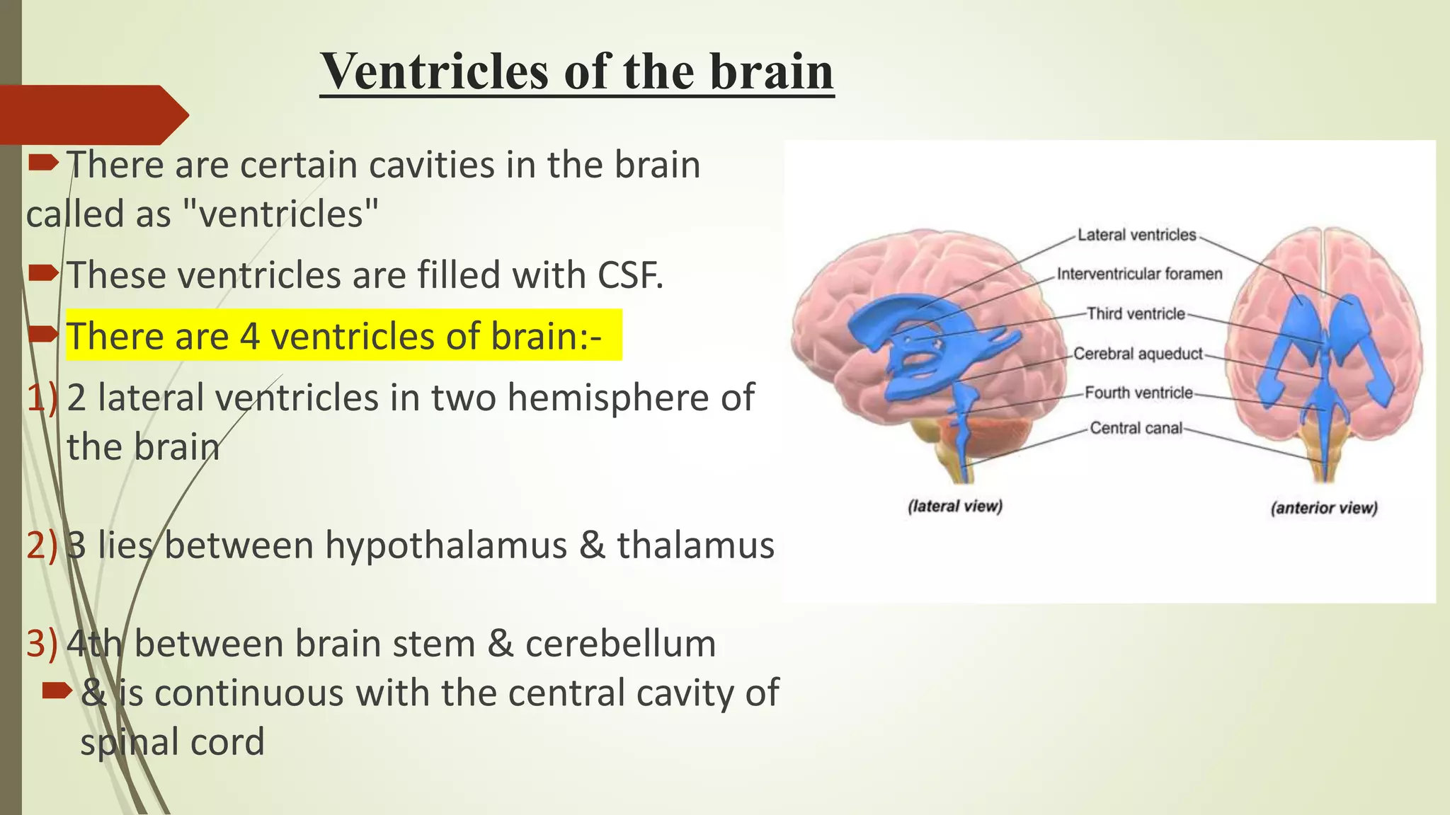 Anatomy and physiology of cerebral circulation and csf | PPTX