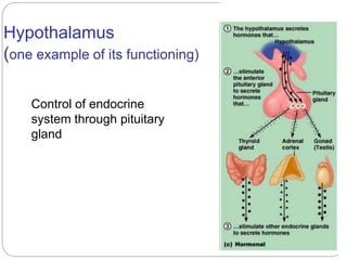 Anatomy and physiology of Central Nervous System | PPTX