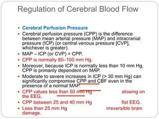 Ppc Normal Anatomy and physiology of Central Nervous System | PPTX