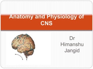 Dr
Himanshu
Jangid
Anatomy and Physiology of
CNS
 