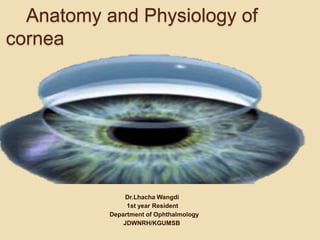 Anatomy and Physiology of
cornea
Dr.Lhacha Wangdi
1st year Resident
Department of Ophthalmology
JDWNRH/KGUMSB
 