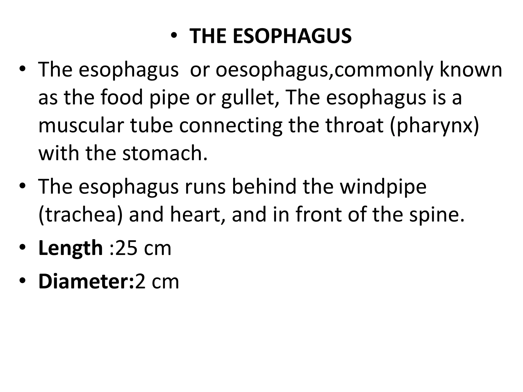 Anatomy and physiology of the digestive system | PPTX