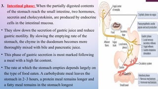 ANATOMY AND PHYSIOLOGY OF DIGESTIVE SYSTEM.pptx