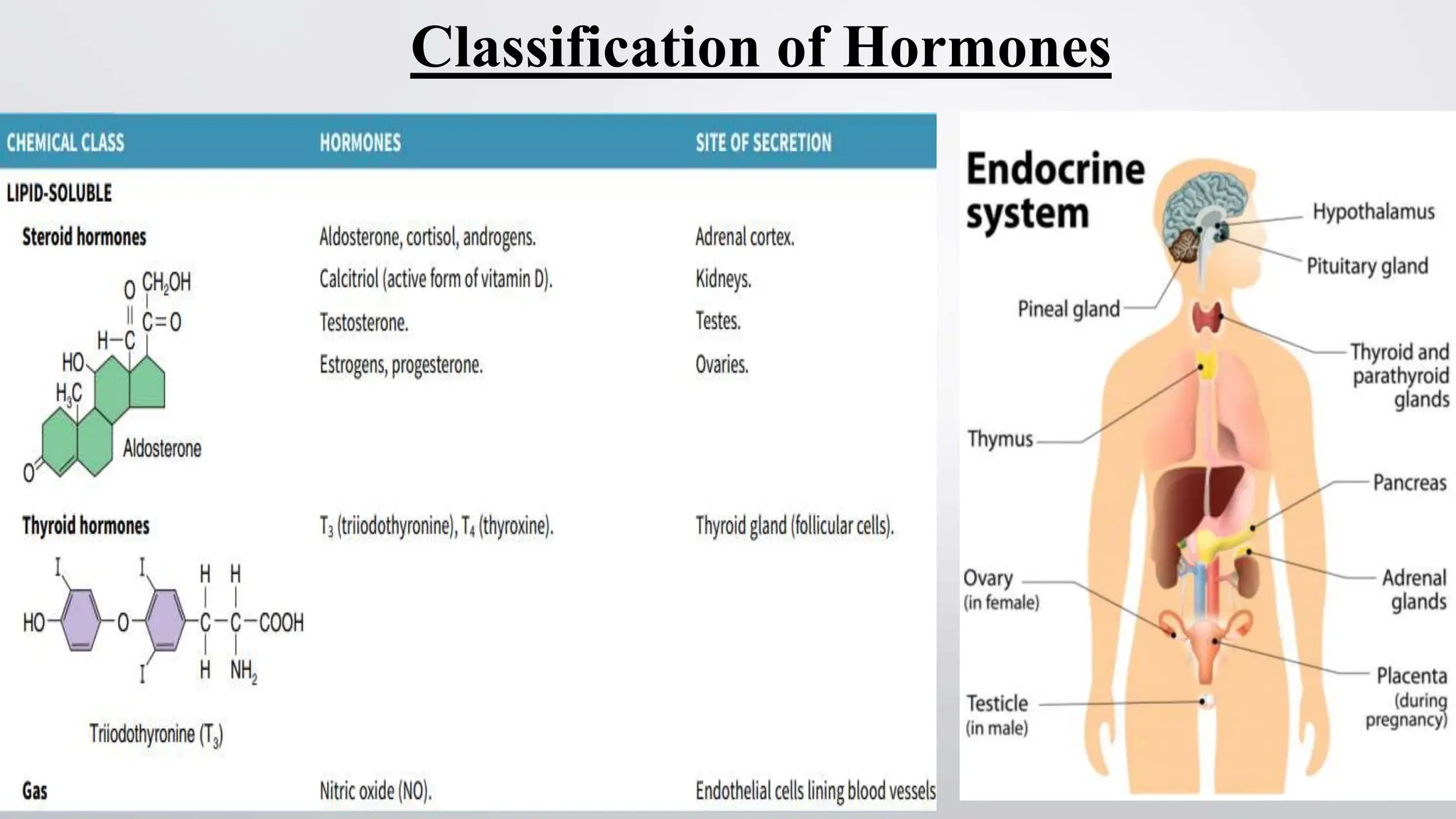 ANATOMY AND PHYSIOLOGY OF ENDOCRINE SYSTEM.pptx