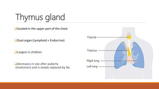 Anatomy and physiology of endocrine system by Simhachalam K L V | PPTX
