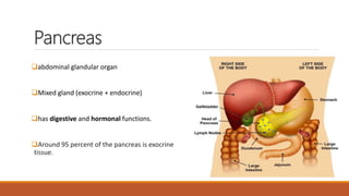 Anatomy and physiology of endocrine system by Simhachalam K L V | PPTX