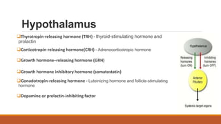 Anatomy and physiology of endocrine system by Simhachalam K L V | PPTX