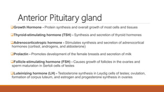 Anatomy and physiology of endocrine system by Simhachalam K L V | PPTX
