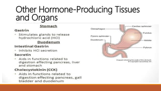 Anatomy and physiology of endocrine system by Simhachalam K L V | PPTX