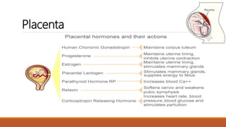 Anatomy and physiology of endocrine system by Simhachalam K L V | PPTX