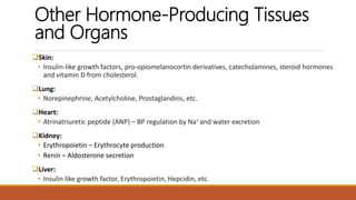 Anatomy and physiology of endocrine system by Simhachalam K L V | PPTX