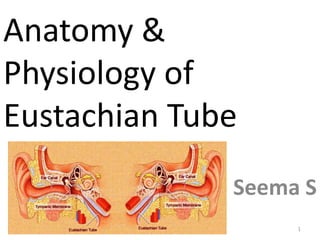 Anatomy & 
Physiology of 
Eustachian Tube 
Seema S 
1 
 