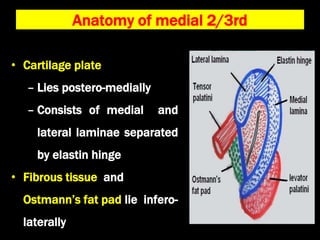 Anatomy and physiology of Eustachian tube .ppt