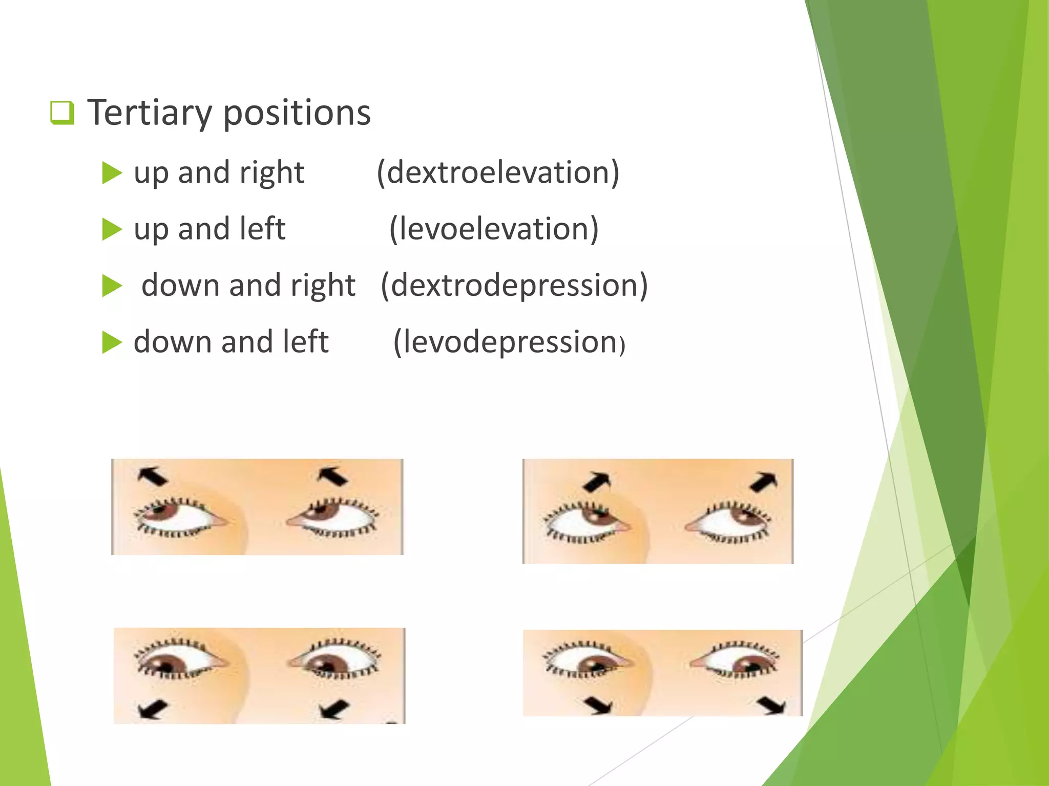 Anatomy and physiology of extraocular muscles | PPTX