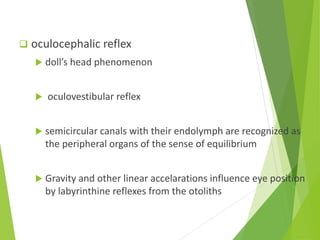 Anatomy and physiology of extraocular muscles | PPTX