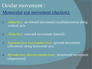 Infraduction ANATOMY AND PHYSIOLOGY OF EXTRAOCULAR MUSCLES.ppt