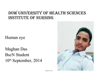 Dow University of HealtH sciences
institUte of nUrsing
Human eye
Maghan Das
BscN Student
10th
September, 2014
Maghan Das 1
 