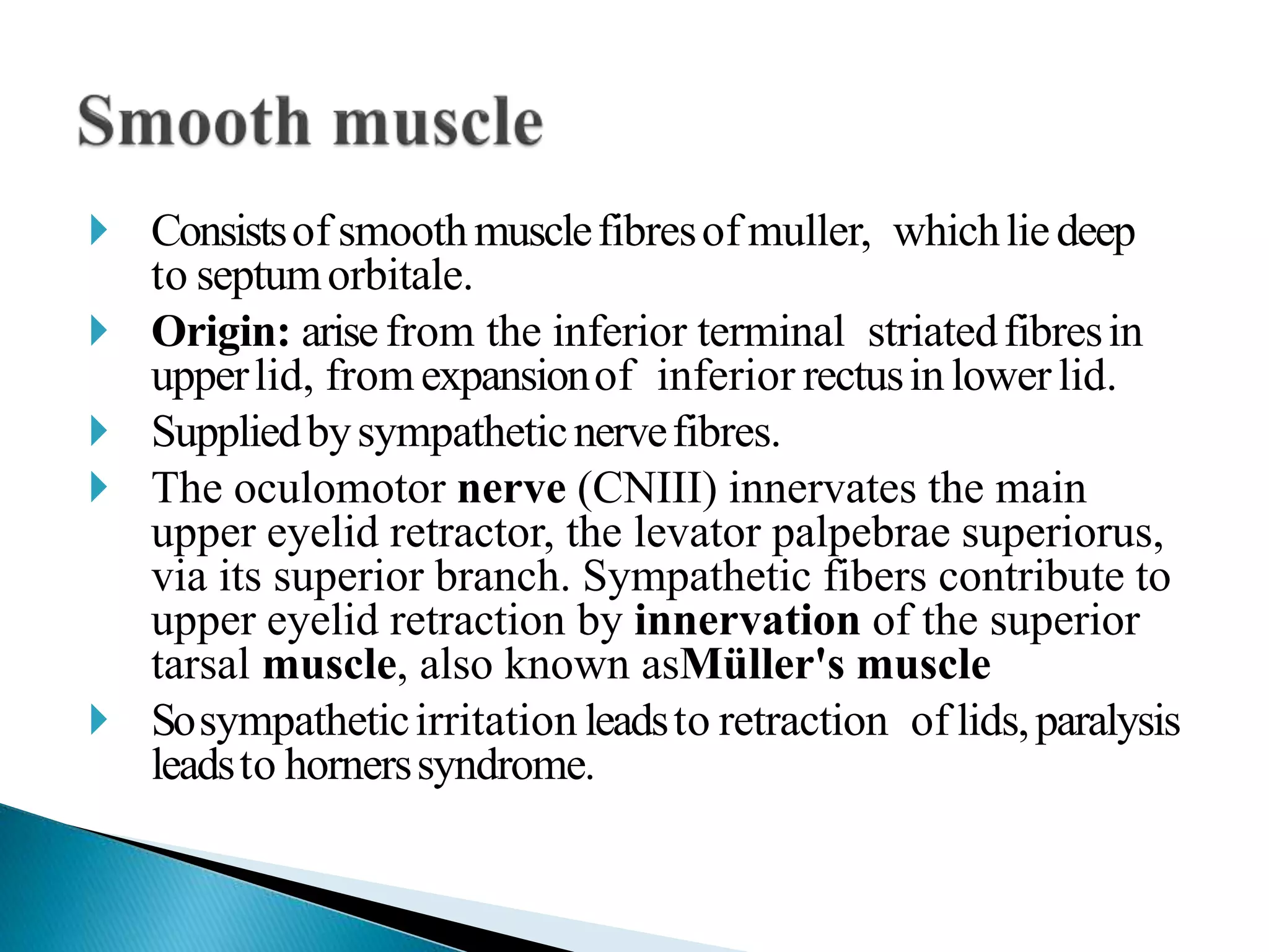 Anatomy and physiology of eyelids | PPTX