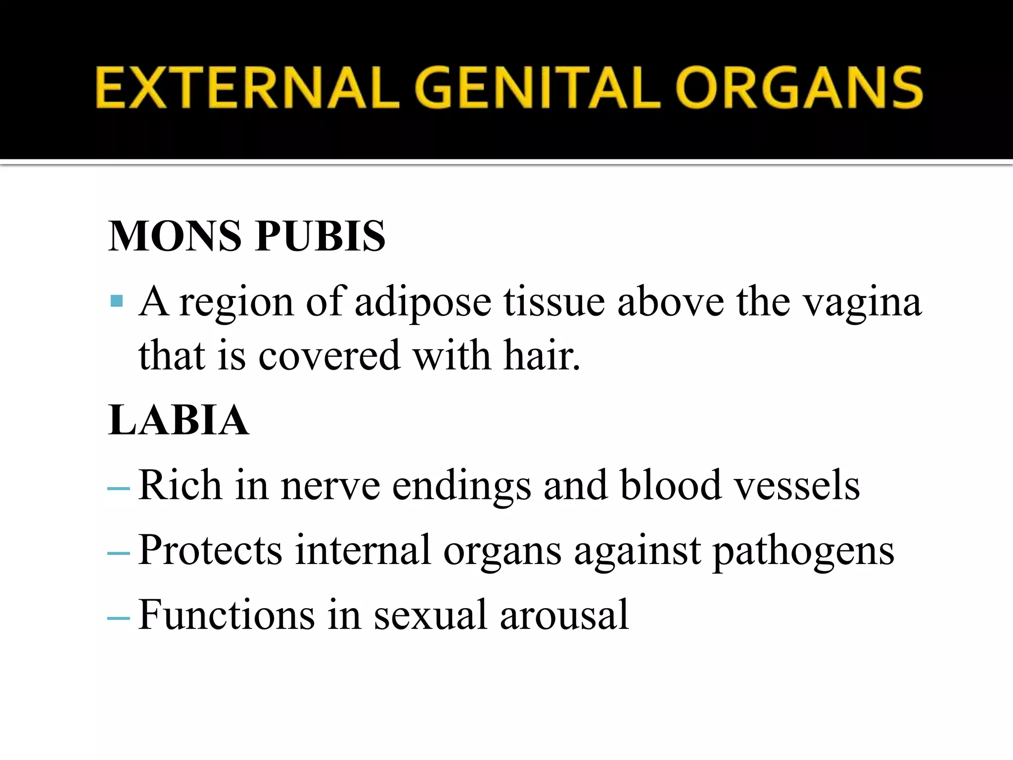 Anatomy and physiology of female reproductive system | PPTX