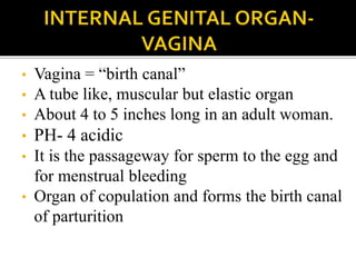 Formed at the top of vagina due to projection of
the uterine cervix
Four fornics are there
One anterior – front of cervix...
