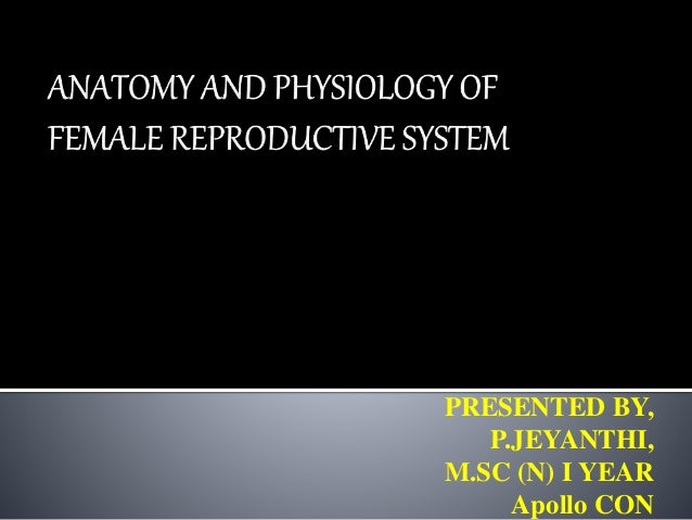 Anatomy And Physiology Of Female Reproductive System