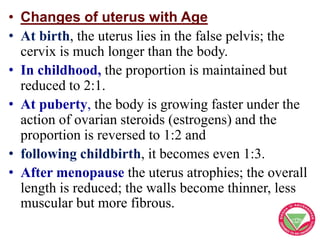 • Changes of uterus with Age
• At birth, the uterus lies in the false pelvis; the
cervix is much longer than the body.
• I...