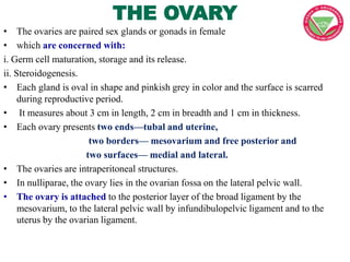 THE OVARY
• The ovaries are paired sex glands or gonads in female
• which are concerned with:
i. Germ cell maturation, sto...