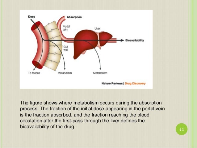 anatomy and physiology of gi Anatomy and physiology of digestive system digestive system digestive enzymes human digestive system digestive system diagram digestive system for kids respi. anatomy and physiology of gi Anatomy and physiology of digestive system digestive system digestive enzymes human digestive system digestive system diagram digestive system for kids respi.