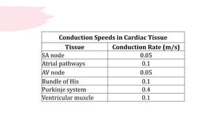 Normal Conduction Rates anatomy and physiology of human heart BY DEEPIKA.R | PPTX