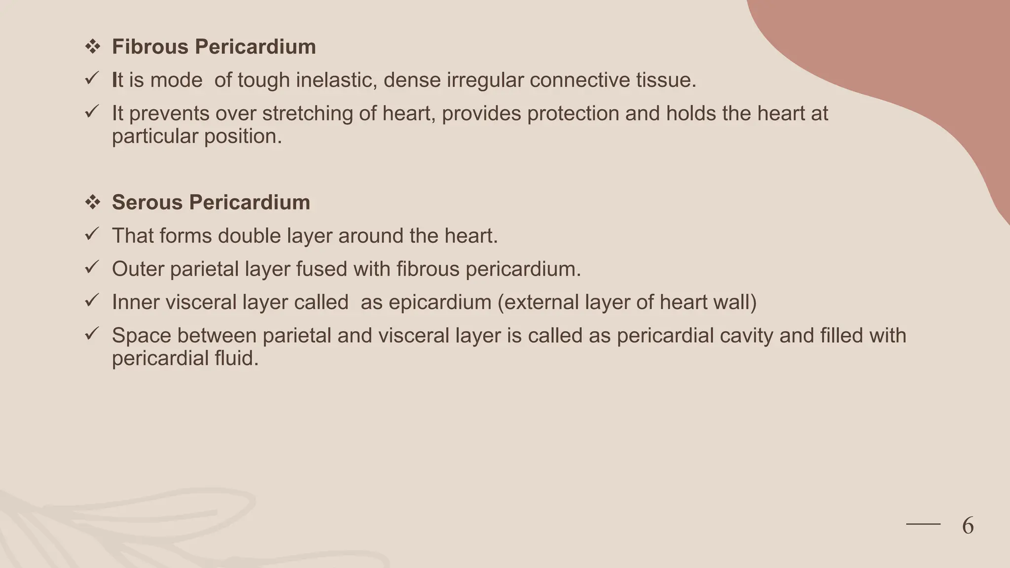 Anatomy And Physiology Of Heart Cardiovascular System Pptx Anatomy And Physiology Of Heart Cardiovascular System Pptx