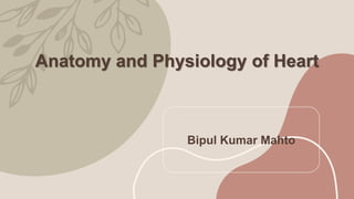 Anatomy and Physiology of Heart
Bipul Kumar Mahto
 