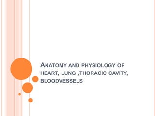 ANATOMY AND PHYSIOLOGY OF 
HEART, LUNG ,THORACIC CAVITY, 
BLOODVESSELS 
 