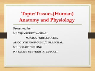 Topic:Tissues(Human)
Anatomy and Physiology
Presented by:
MR VIJAYREDDY VANDALI
M.SC(N), PGDHA,PGCDE,.
ASSOCIATE PROF CUM I/C PRINCIPAL
SCHOOL OF NURSING
P P SAVANI UNIVERSITY, GUJARAT.
 