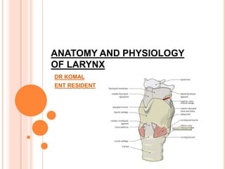 ANATOMY AND PHYSIOLOGY
OF LARYNX
DR KOMAL
ENT RESIDENT
 