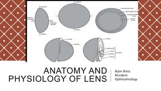 ANATOMY AND
PHYSIOLOGY OF LENS
Bipin Bista
Resident
Ophthalmology
 