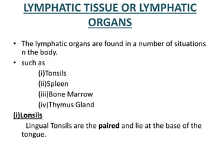 LYMPHATIC TISSUE OR LYMPHATIC
ORGANS
• The lymphatic organs are found in a number of situations
n the body.
• such as
(i)Tonsils
(ii)Spleen
(iii)Bone Marrow
(iv)Thymus Gland
(i)Lonsils
Lingual Tonsils are the paired and lie at the base of the
tongue.
 