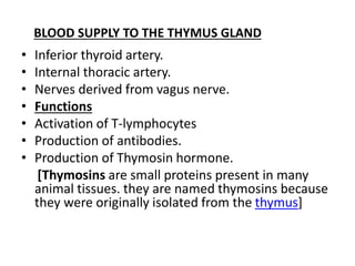 BLOOD SUPPLY TO THE THYMUS GLAND
• Inferior thyroid artery.
• Internal thoracic artery.
• Nerves derived from vagus nerve.
• Functions
• Activation of T-lymphocytes
• Production of antibodies.
• Production of Thymosin hormone.
[Thymosins are small proteins present in many
animal tissues. they are named thymosins because
they were originally isolated from the thymus]
 