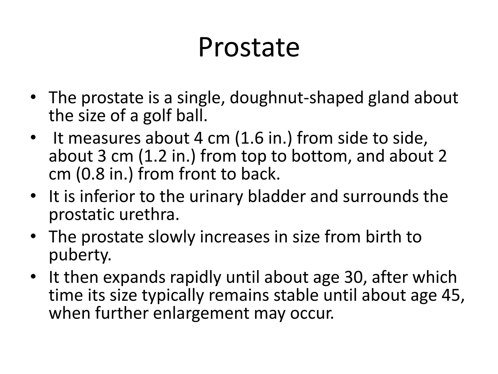 Anatomy and physiology of male reproductive system | PPTX