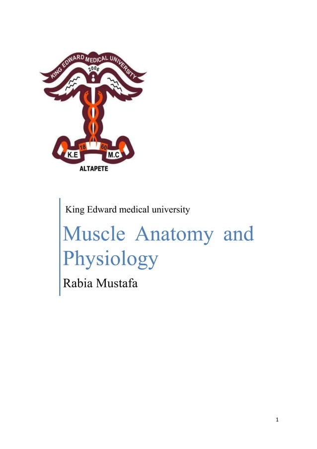 Anatomy and physiology of muscle | DOCX | Physical Therapy | Wellness