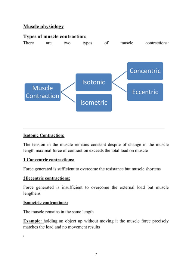 Anatomy and physiology of muscle | DOCX | Physical Therapy | Wellness