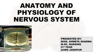 ANATOMY AND
PHYSIOLOGY OF
NERVOUS SYSTEM
PRESENTED BY:
MISS. SHWETA SHARMA
M.SC. NURSING
2nd YEAR
AIIMS JODHPUR
 