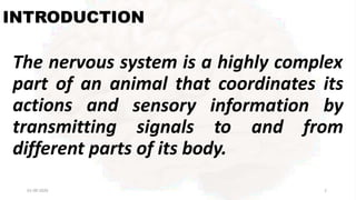 INTRODUCTION
01-09-2020 2
The nervous system is a highly complex
part of an animal that coordinates its
actions and
transmitting
sensory information by
signals to and from
different parts of its body.
 