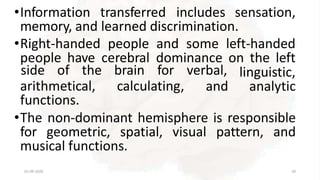 •Information transferred includes sensation,
memory, and learned discrimination.
•Right-handed people and some left-handed
people have cerebral dominance on the left
01-09-2020 20
side of the brain for verbal,
and
linguistic,
analytic
arithmetical, calculating,
functions.
•The non-dominant hemisphere is responsible
for geometric, spatial, visual pattern, and
musical functions.
 